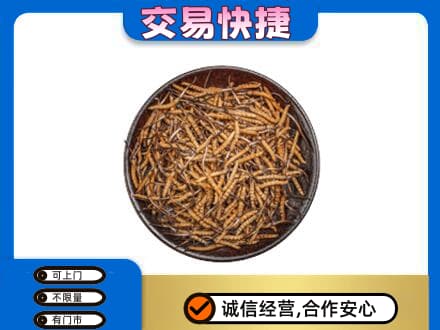 吉安市永丰回收散虫草